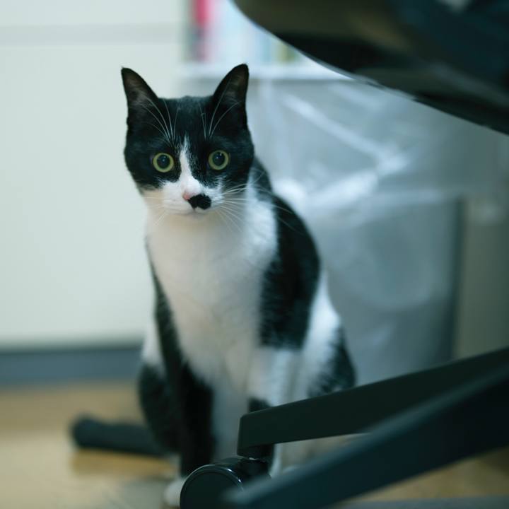 Aa481bdd 3b4f 4978 985f f810f5bfab3d