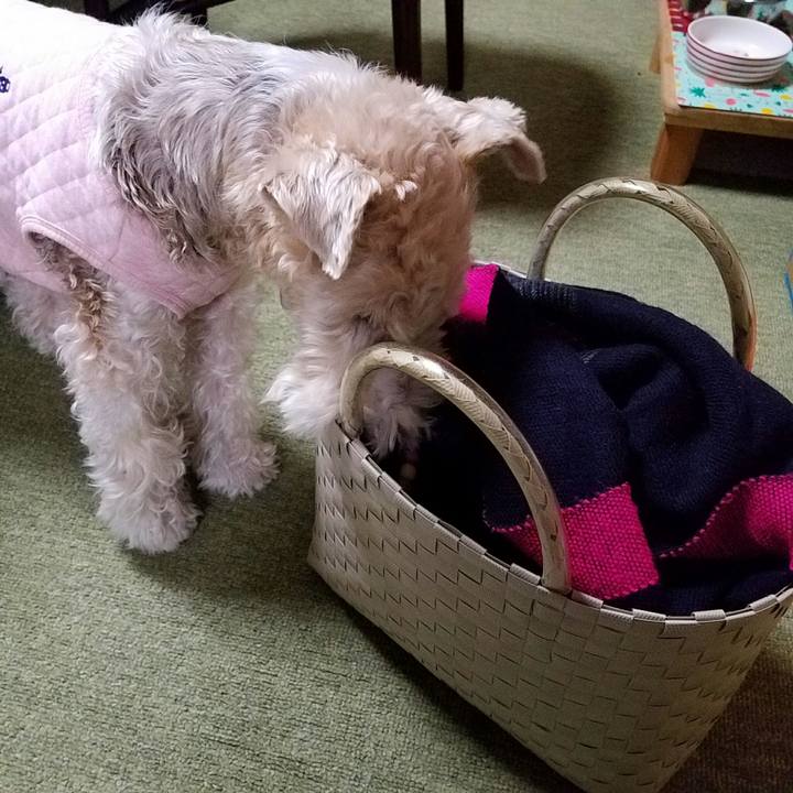 Aa48f8ac 21a7 4c22 b82d 327262d45e0e