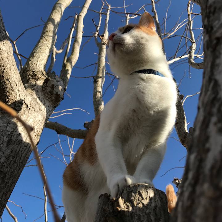 Aa4914d8 6805 4bc8 9e4a f91d8db33039