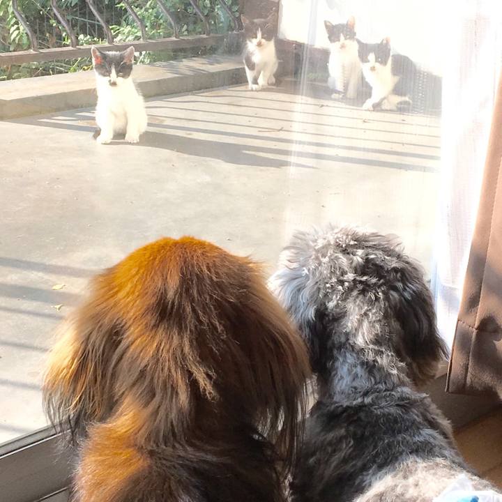 Aa497825 1428 415c bdda 15c9b5f60f7a