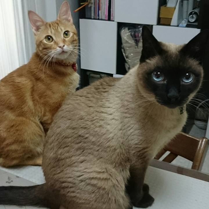 Aa49b428 f823 42f5 be58 c3f26599b08e