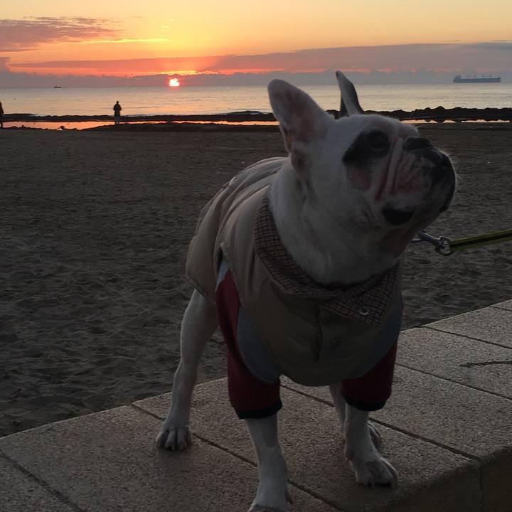 Aa4a66bf 73a5 41c8 b1af 44fdd0f960e6