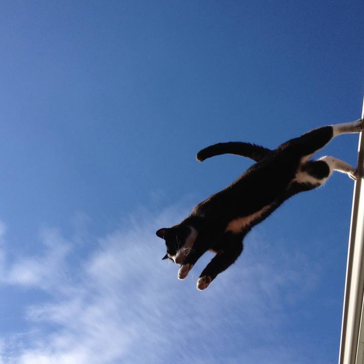 Aa4a8aab 5ec3 4a83 91ba e47232bc2b33