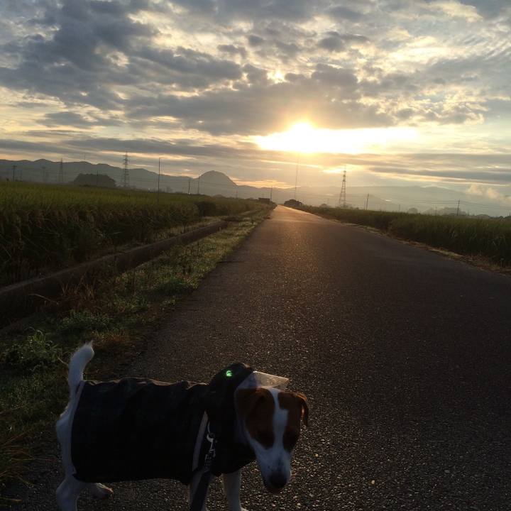 Aa4aac67 5346 4e6c a009 d5b710723871