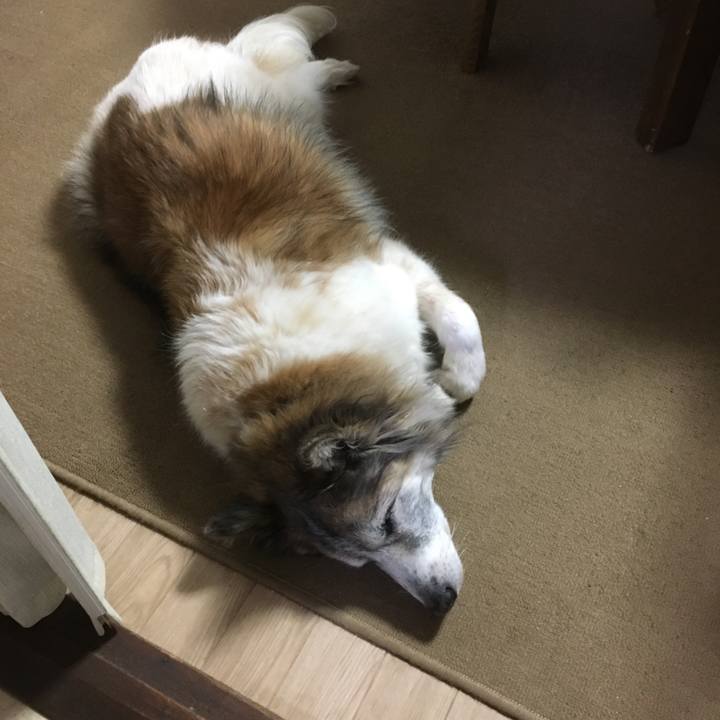 Aa4b834e 2b3b 4cf3 a35b 044a115e2265