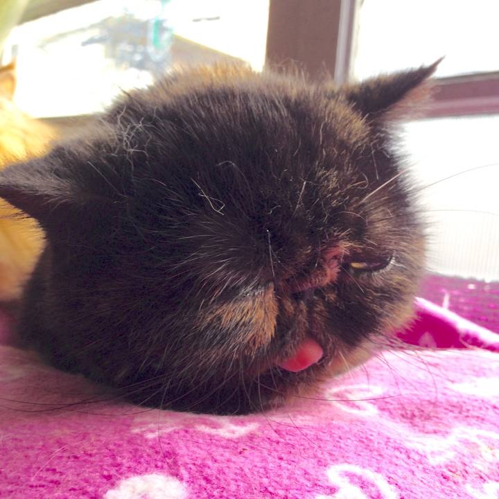 Aa4bab50 7070 493a 974d 73344e7ddf5d