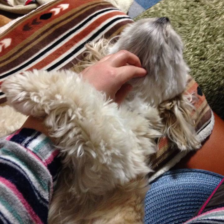 Aa4c3b34 1140 4914 bc49 aca53c8c28bf