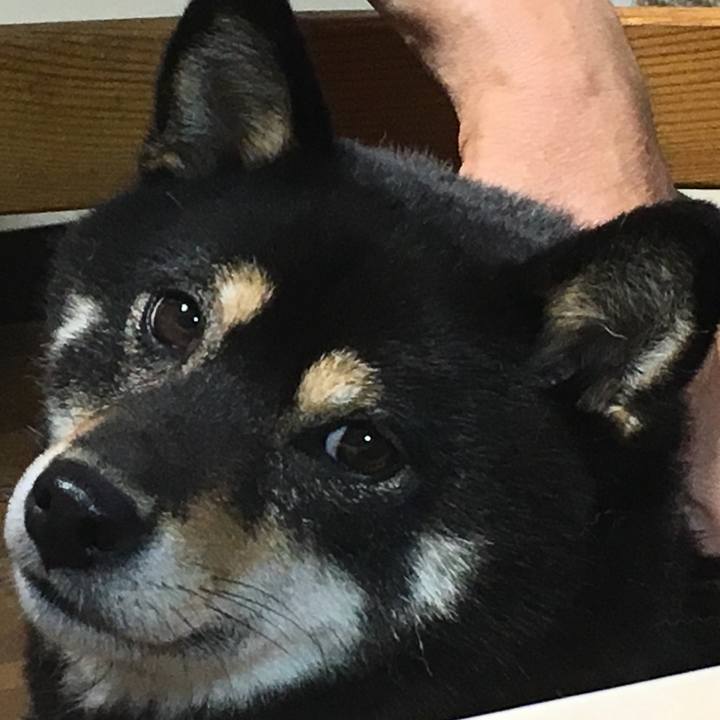 Aa4ca0f8 f944 47b6 bc86 8af1a2a9c254