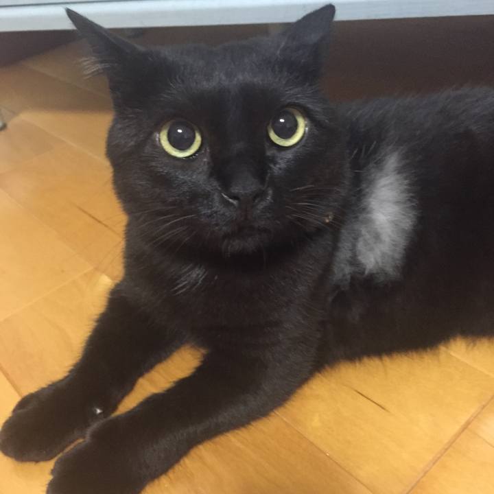 Aa4d2ec6 c6ff 4933 af94 bc53ea609ee1