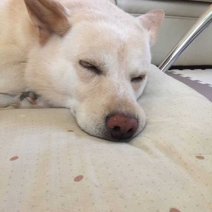 Aa4da178 5374 4de2 a0eb bfbea9960c52