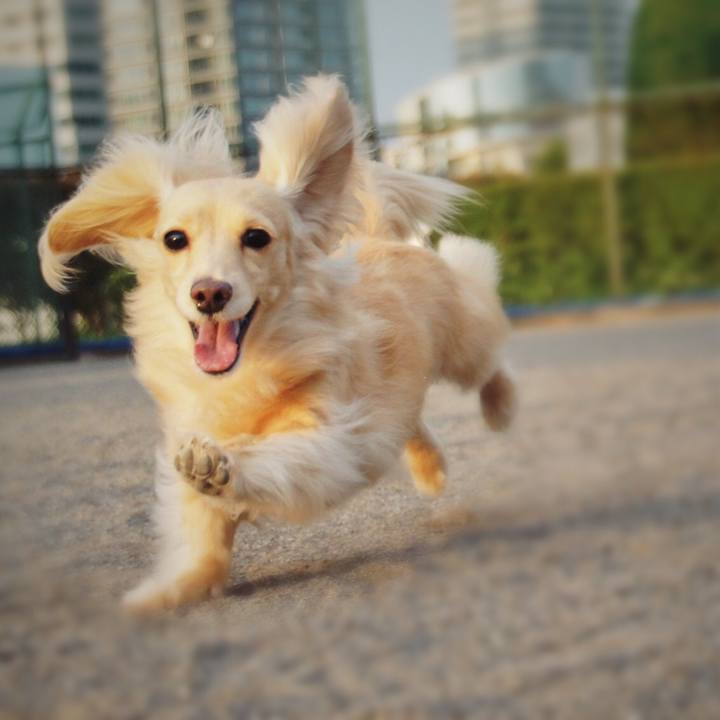 Aa4ed922 7355 474f 9878 94834f6aced1