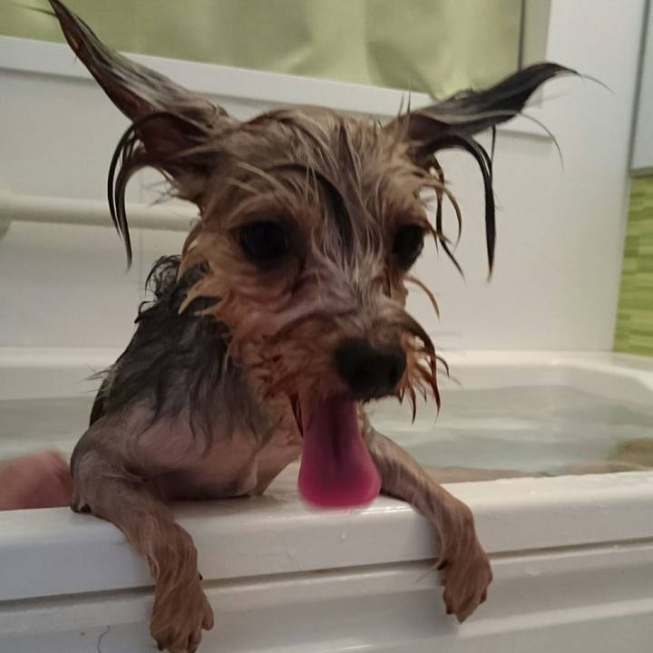 Aa4f01a3 ea81 499d 8f8d 0ab6723bda69