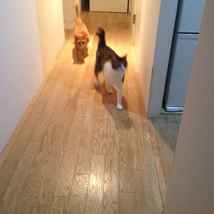 Aa4f1b65 757d 4893 a20d 9e799570afc9