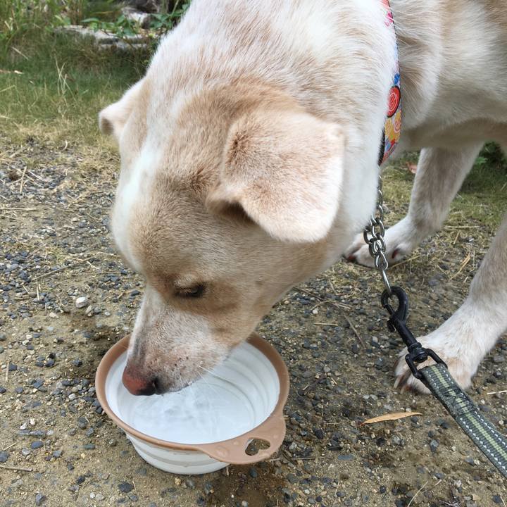 Aa4f281d 8a0b 41b6 a2b4 aa1f76f96a11