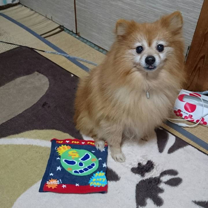 Aa4f8d88 880a 40f8 9192 448ec408f856