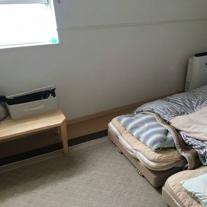 Aa4febaf 9cd5 4297 88ac 09cfc7eca660