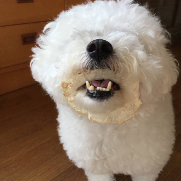 Aa504ea0 5c13 4abd 9005 eb88648b3928