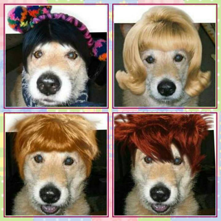 Aa50c24a 14bc 4579 87d6 c96211b550bf