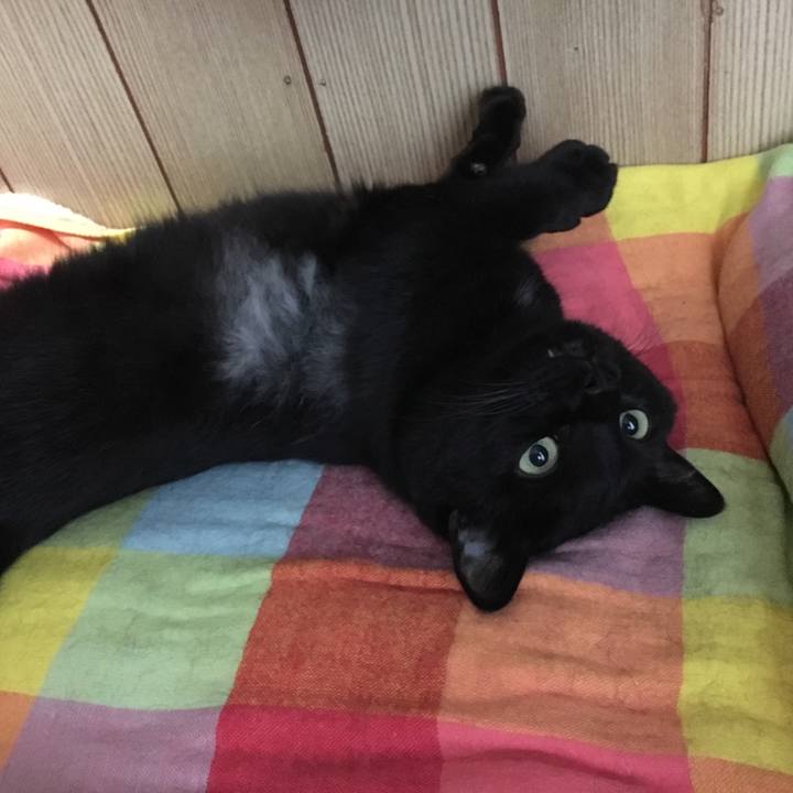 Aa51b761 5db8 46d8 b4a4 31f0abb04600