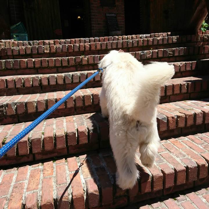 Aa51de66 ee8c 464e 8adc 7aeeb803f559