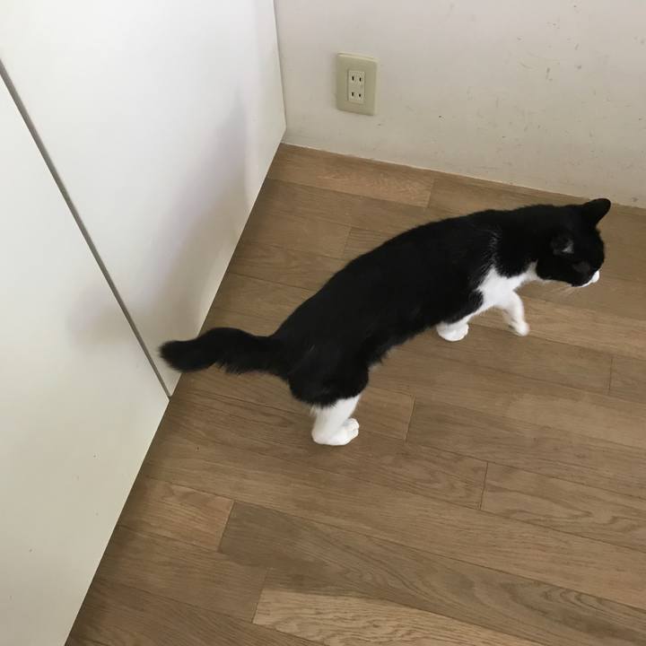 Aa525c99 4880 419f 8bdf a66b1a9ebe59