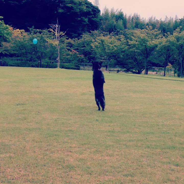 Aa5272ef 1fbf 4ec0 931e 7d4779698be6