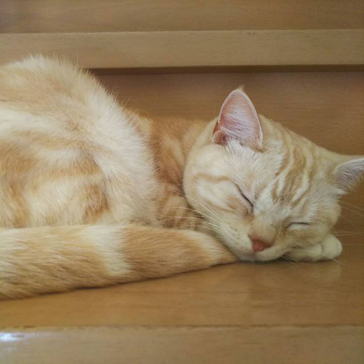 Aa52bd8e 42bd 4d35 8ff2 b25c122445c0