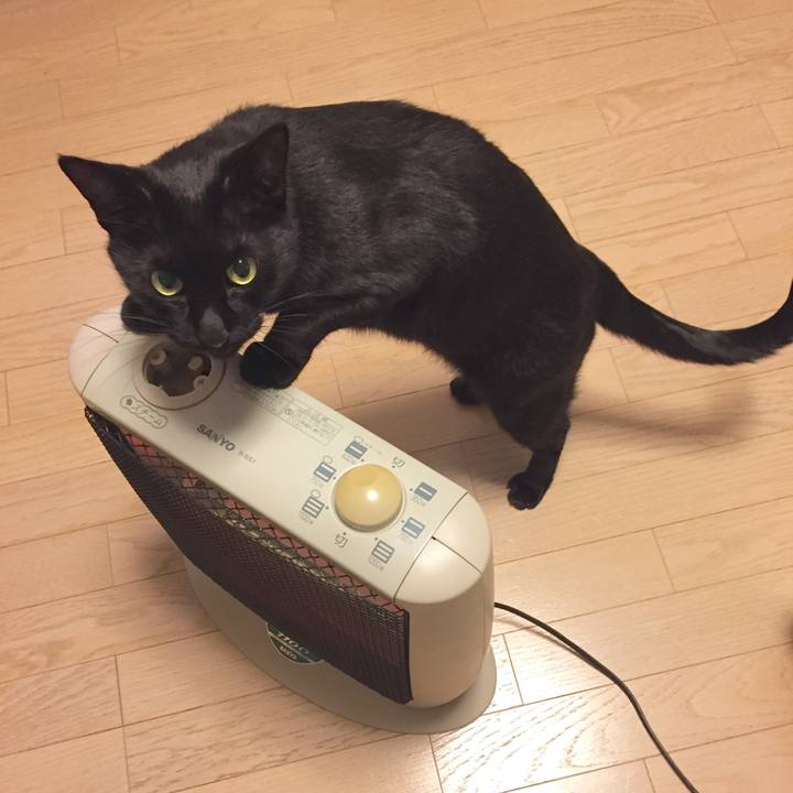 Aa535644 a7fb 477c a9bc 7643a4262928