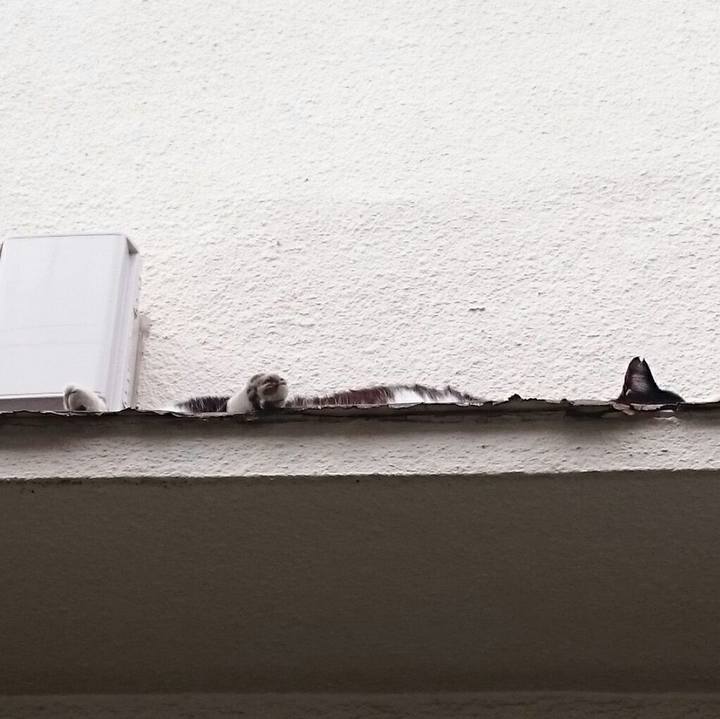 Aa5364a9 1c75 422a bb31 baf1713ba01c