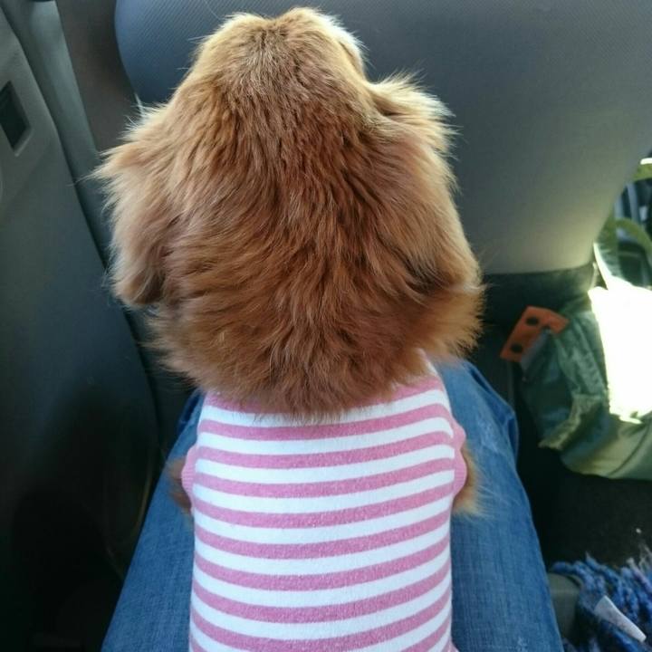 Aa54797c 3c1e 4ee9 bb72 3c047fe1b827