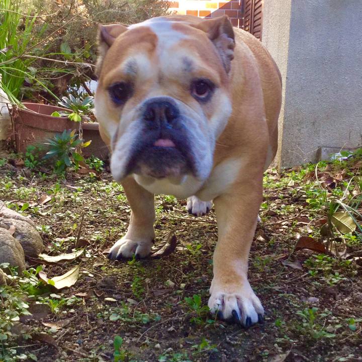 Aa54a0ea 214e 4b75 ab45 22e9fa91c7b8