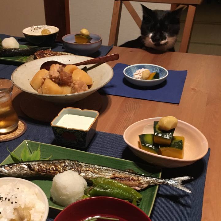 Aa54a37b 2265 4259 8e22 58987dcb1a2a