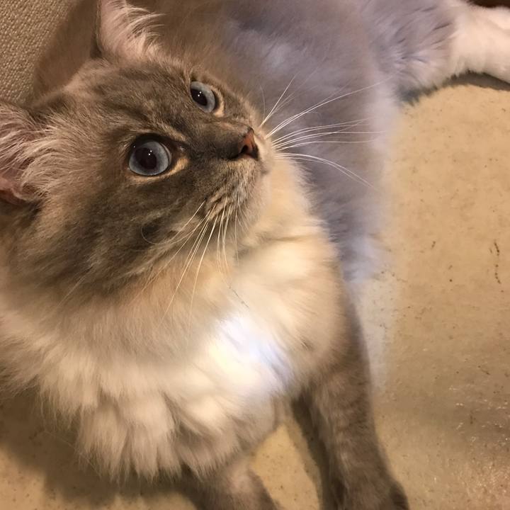 Aa5531a2 c576 4531 93c7 9900d0ea6e55