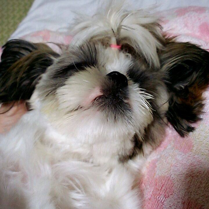 Aa5580bb 2db2 4a59 84b6 d5ddd203efae