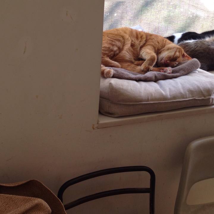 Aa55eb29 ee8a 4cbf 814c a3ba3fd2f862