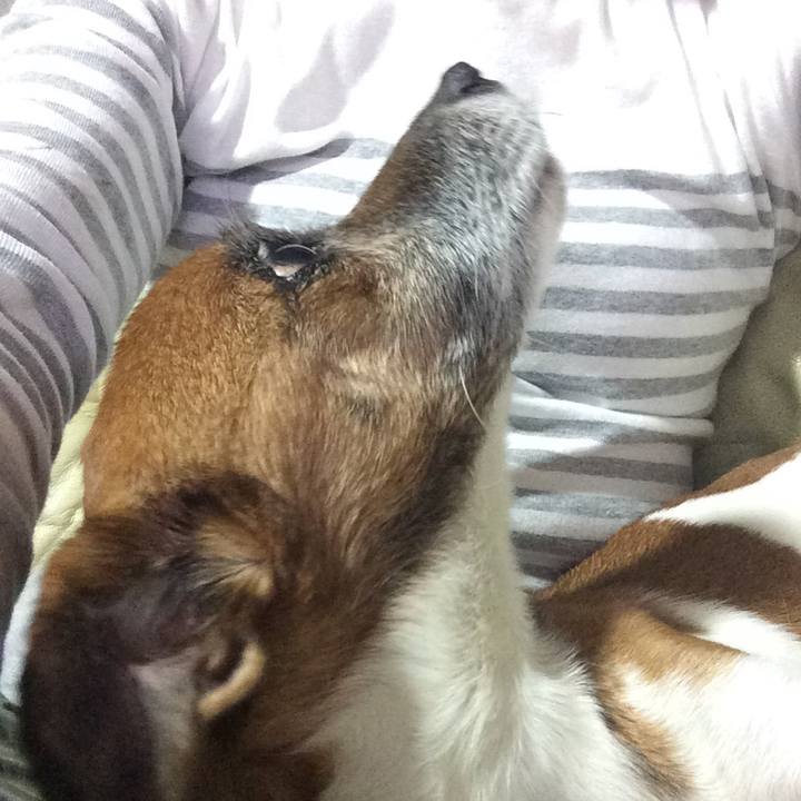 Aa568387 4ea1 4f4d 8586 26513b959913