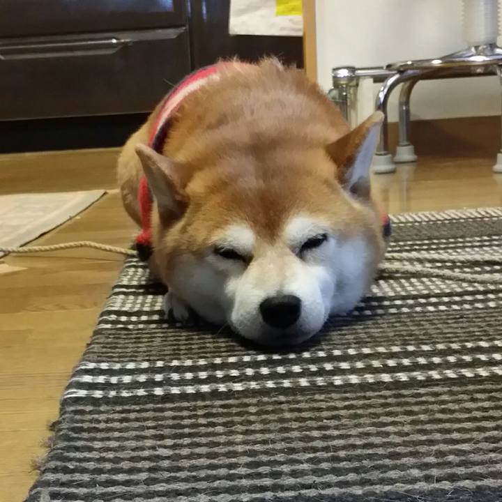 Aa568c2c 87b5 4a2b a14b 56c0aa48b7c0