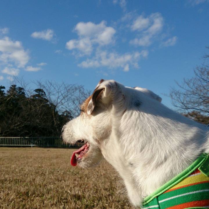 Aa5708b2 90ed 4622 81a1 672eed45987c