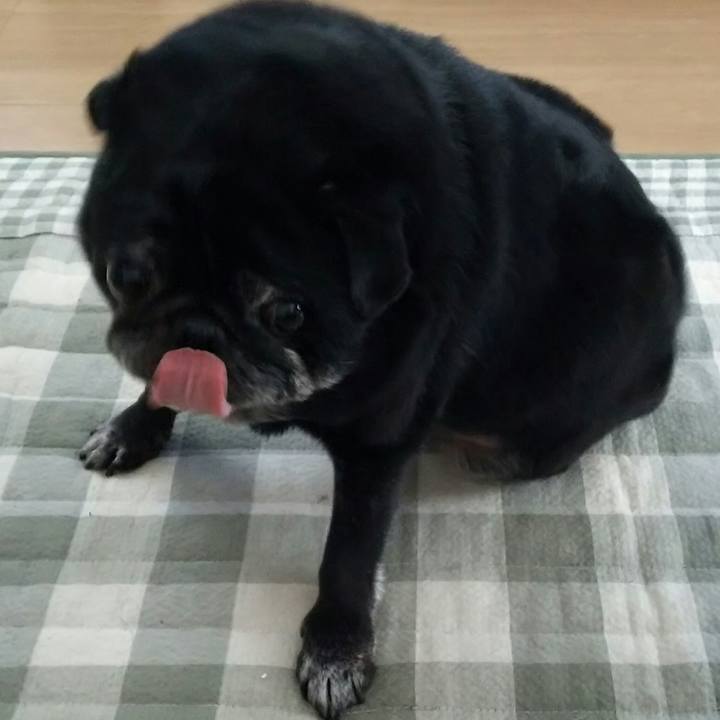 Aa59ab20 0dd8 4668 806c 67dbb71cfae6