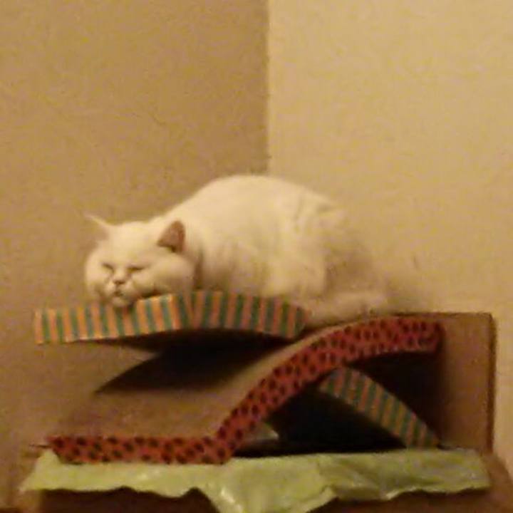 Aa5aa60d aacc 4dcd 937d 6511c2a237d3