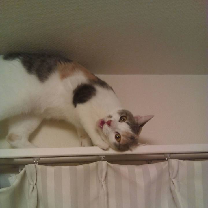 Aa5aabb8 cd23 4b0d 9aa3 a8d555ff60bd