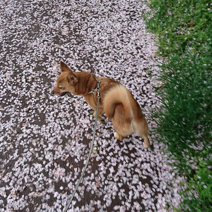 Aa5ad9cf ae65 46c2 9ed1 65593c3cf67c