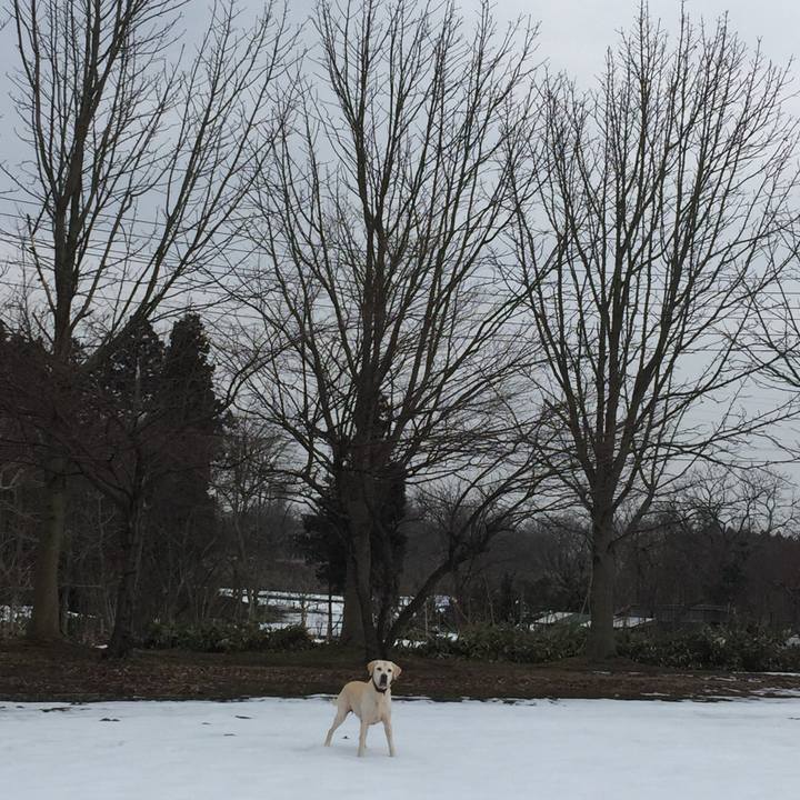 Aa5b5fe0 ed24 46b4 aaf3 9bc3893a75d6