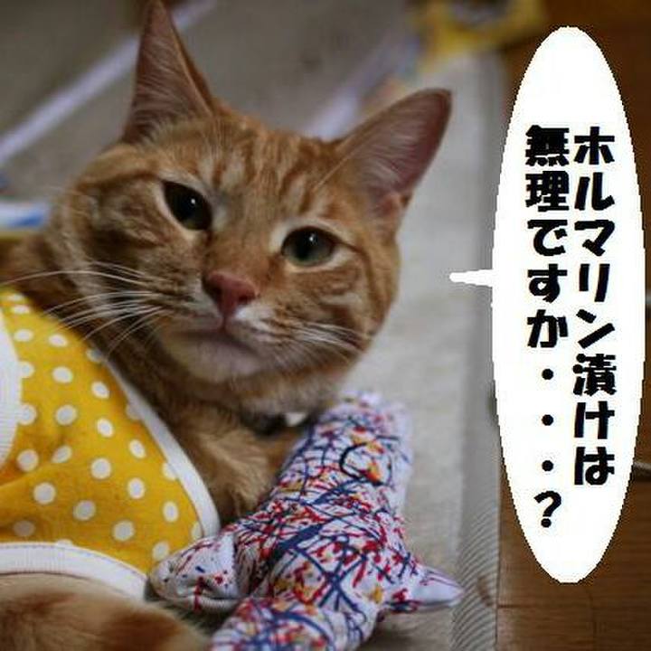 Aa5bbfd7 f2b6 465b 98a3 367b4d40b889