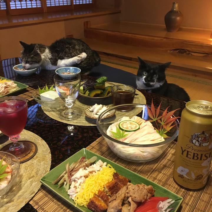 Aa5bed76 cf27 4f83 bf01 8be64fd99760