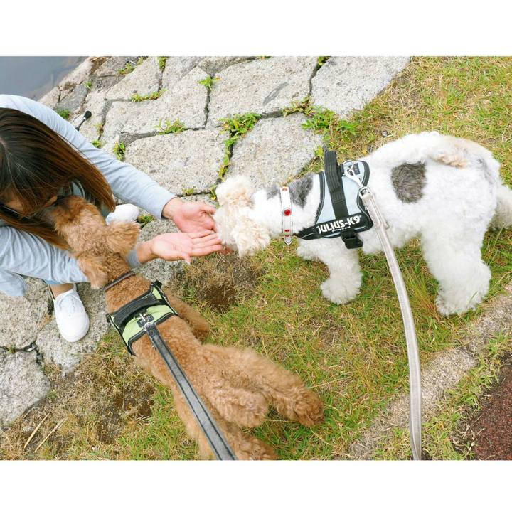 Aa5c9baa 2afd 46f5 91c0 cfb45bcf91db