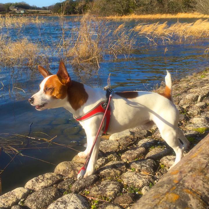 Aa5cd0f8 7f22 4547 aca4 94de8868ca88