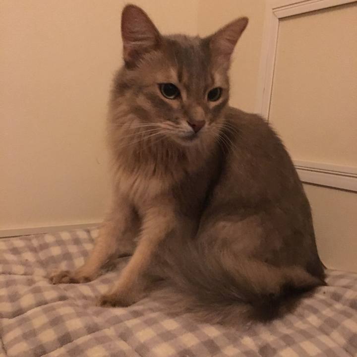 Aa5d6415 7013 4b27 9651 3c7299b78e32