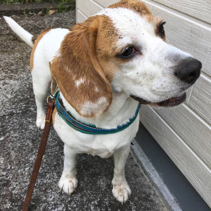 Aa5e2ee7 2f0e 4238 ab8c 1661a781a75b