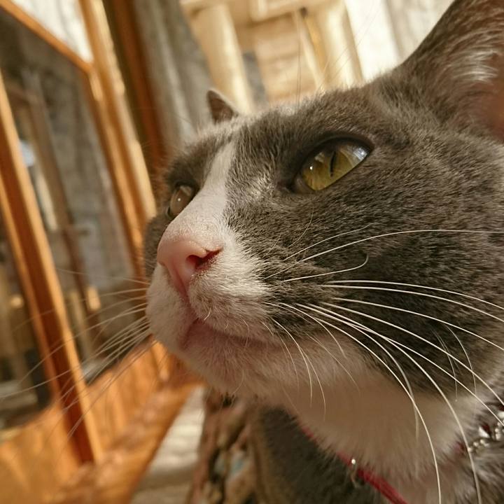 Aa5e5a45 7199 47c5 83ac 677cd79bbd53